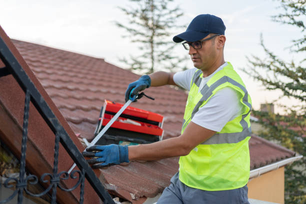 Best Wall Insulation Installation  in Tryon, NC